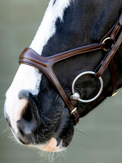 Close-up of a horse wearing a brown leather LEMIEUX KUDOS SPORT BRIDLE with brass bit rings.