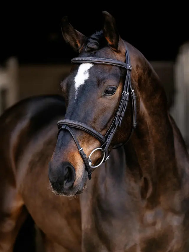 LeMieux Arika Classique Flash Bridle Brown