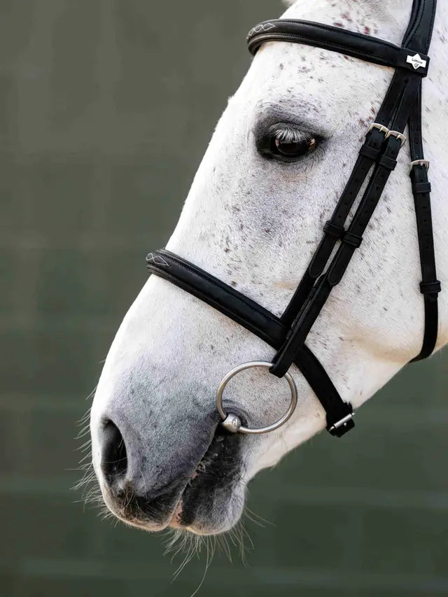 LeMieux AriKa Classique Cavesson Bridle, black leather horse bridle, close-up equestrian tack