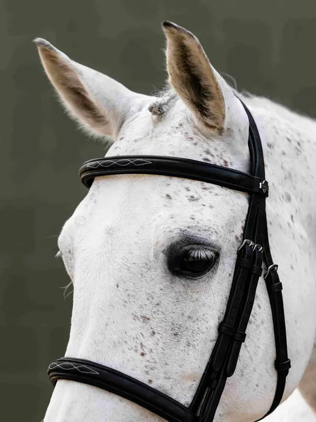 Close-up of a white speckled horse wearing a black LeMieux Arika Classique Caveson bridle
