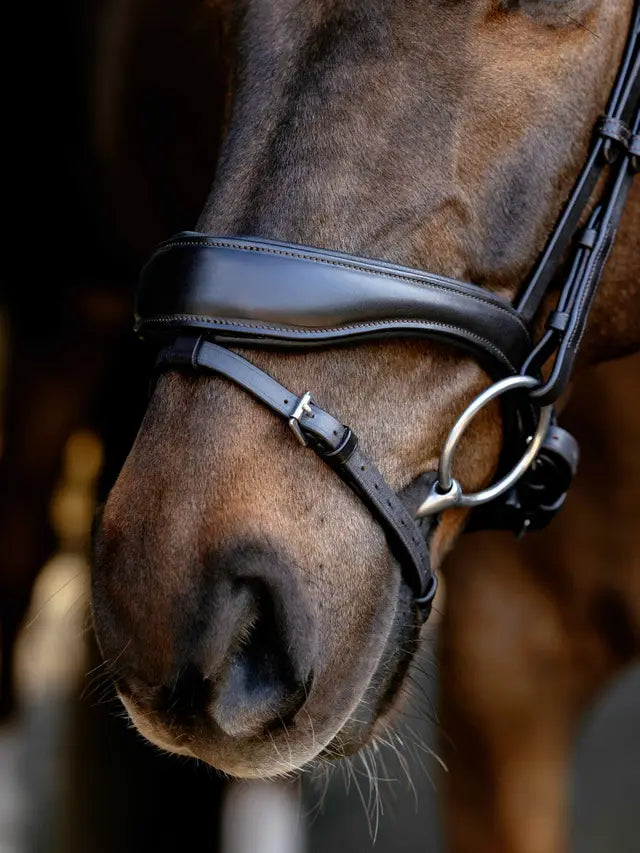Brown LeMieux Kudos Anatomic Dressage Bridle on horse's head, featuring padded noseband and silver bit ring.