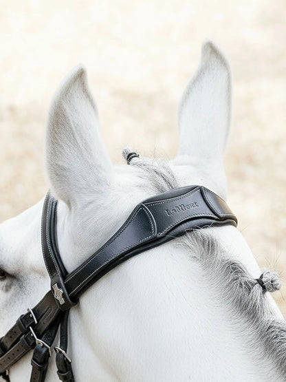LeMieux Arika Anatomic Adjustable Noseband Bridle Black/Silver