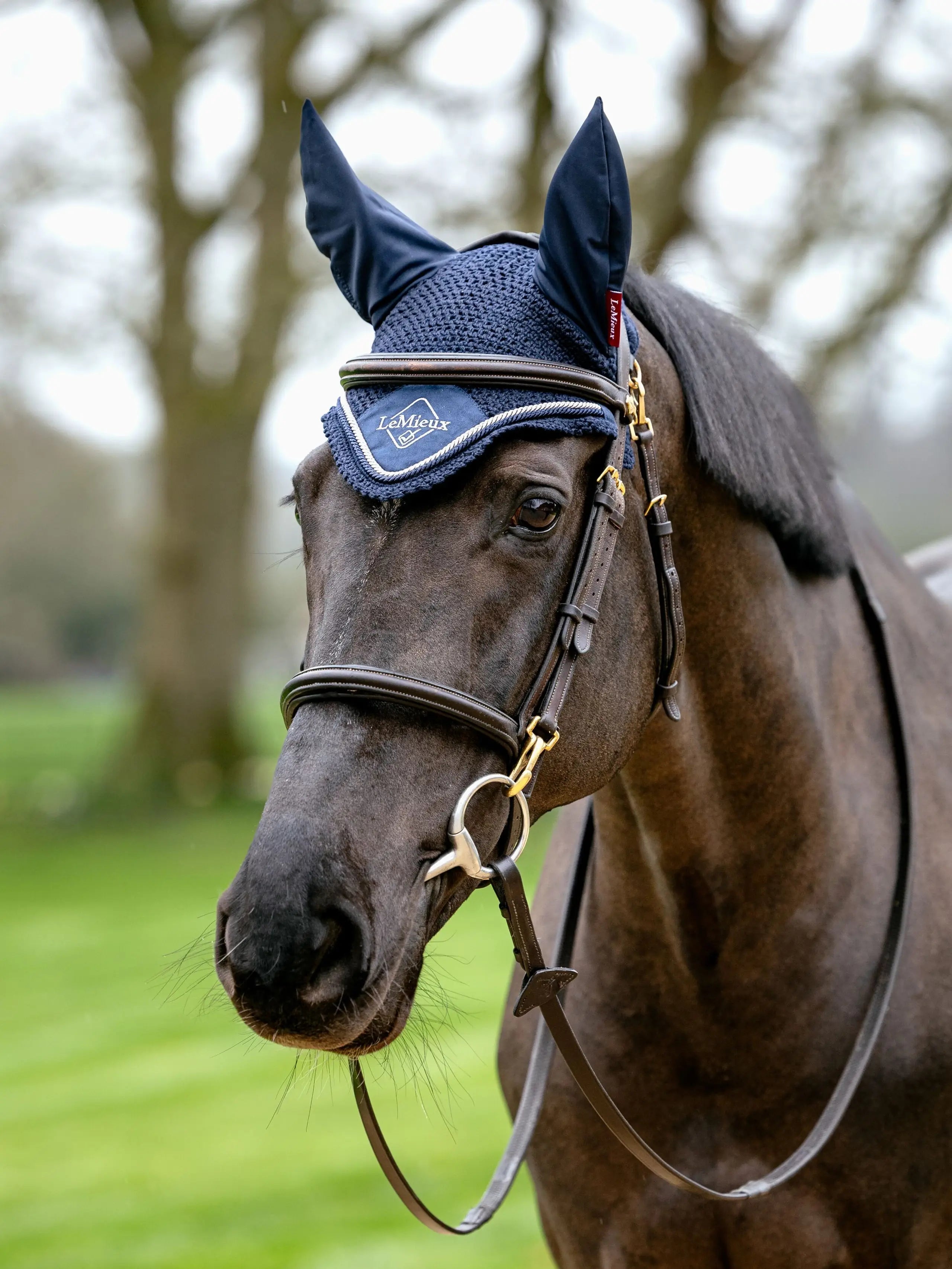 LeMieux Classic Fly Hood Navy
