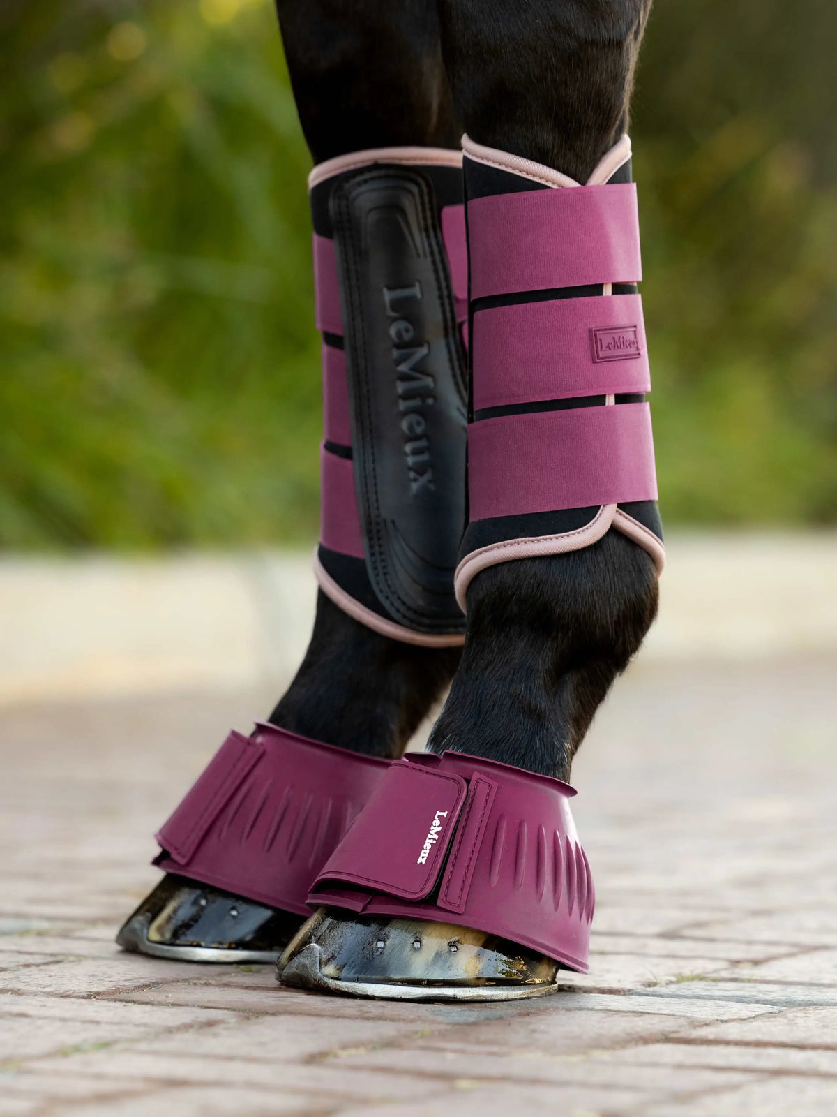 LeMieux Rubber Bell Boots Blackberry