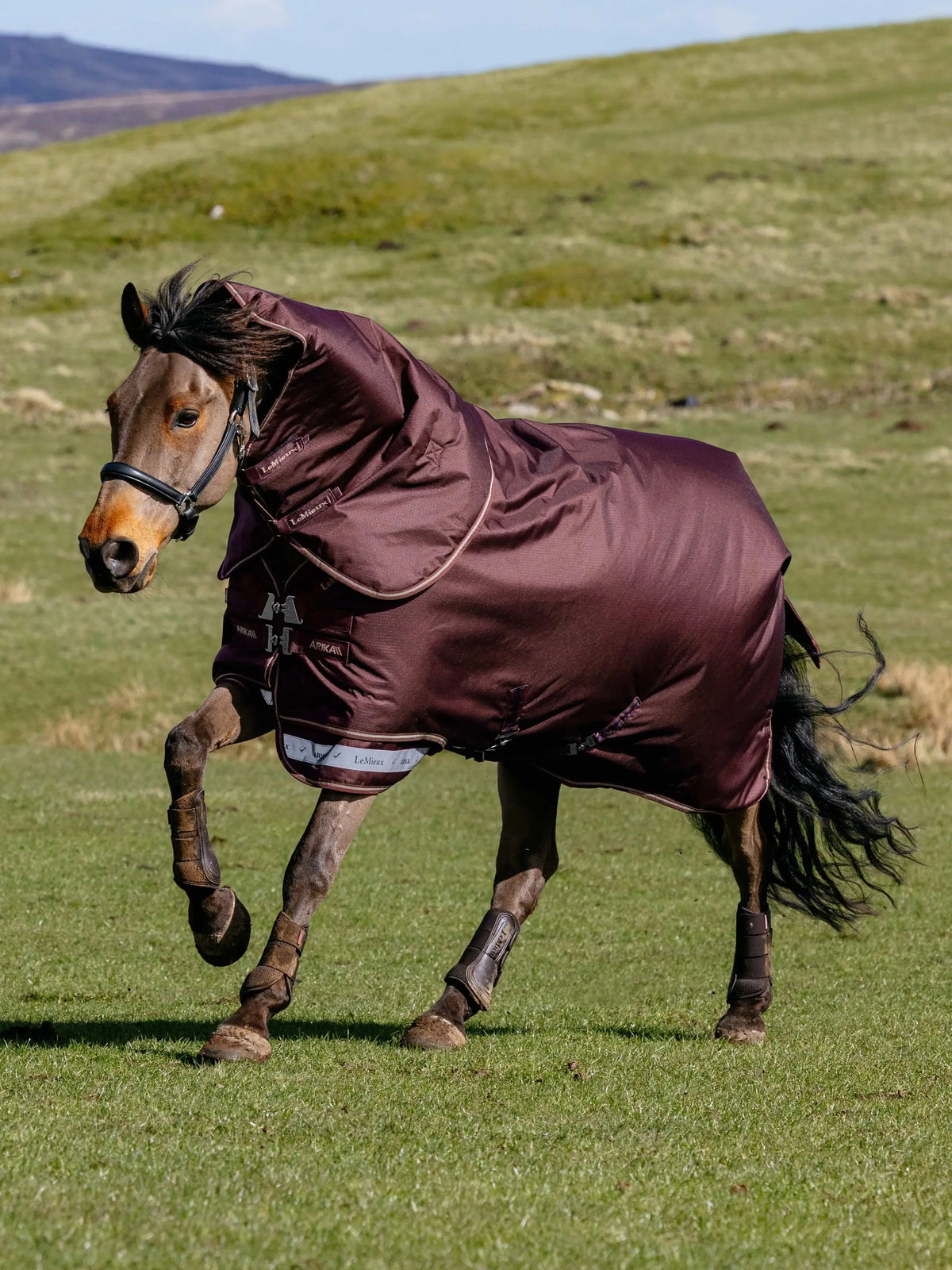 LeMieux Arika Ripstop 100g Turnout Rug in Bramble color, worn by a horse running in a field.