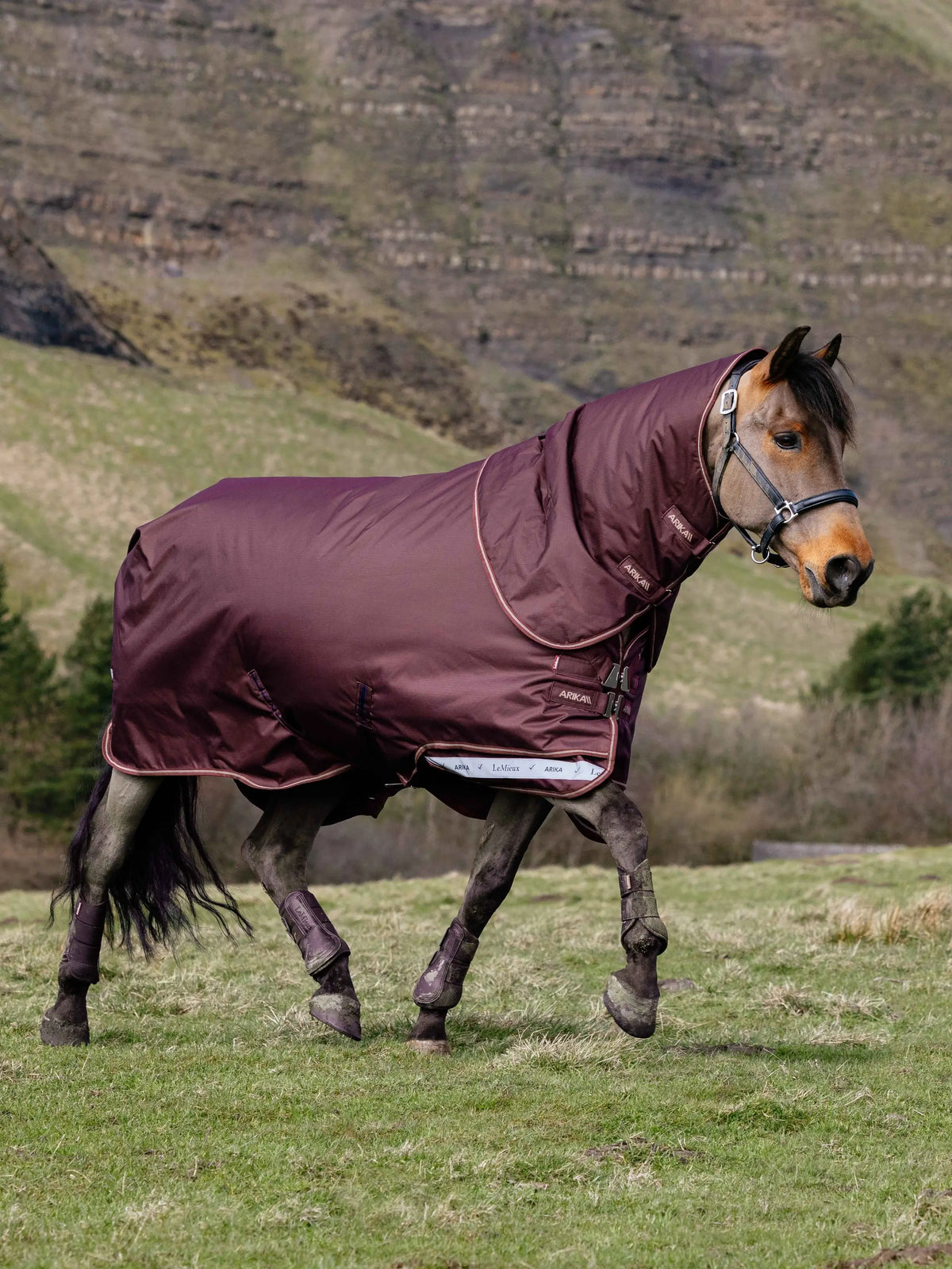 Lemieux Arika Ripstop 200g Turnout Rug in Bramble: Waterproof & Breathable Horse Rug