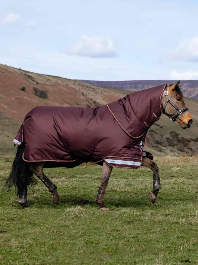 Brown LeMieux Arika Ripstop 100g Turnout Rug on a horse in a grassy field.
