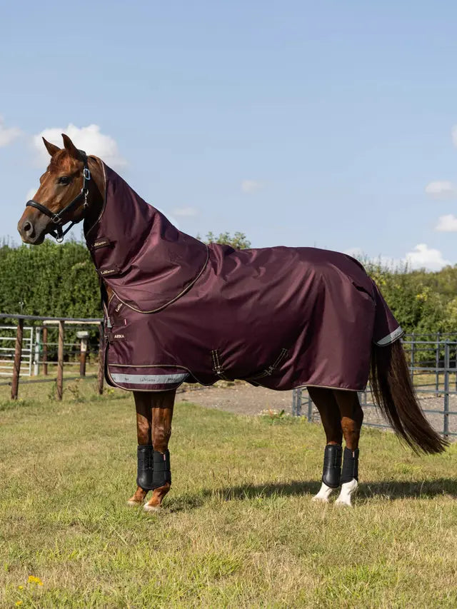LeMieux Arika Ripstop 200g Turnout Rug in Bramble - Equiflair