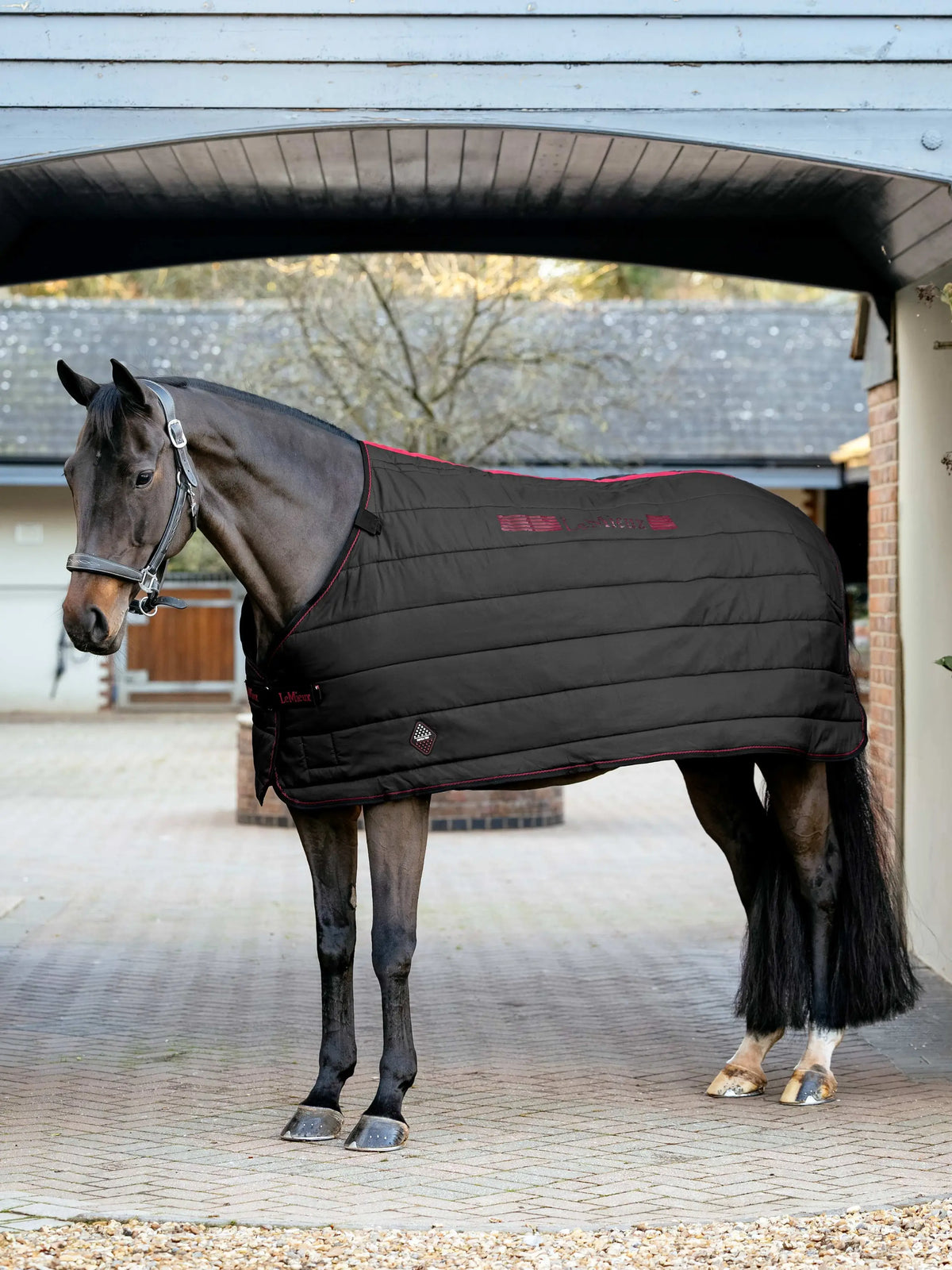 LeMieux Infratek Therapy Rug for Horses - Black 100g Liner