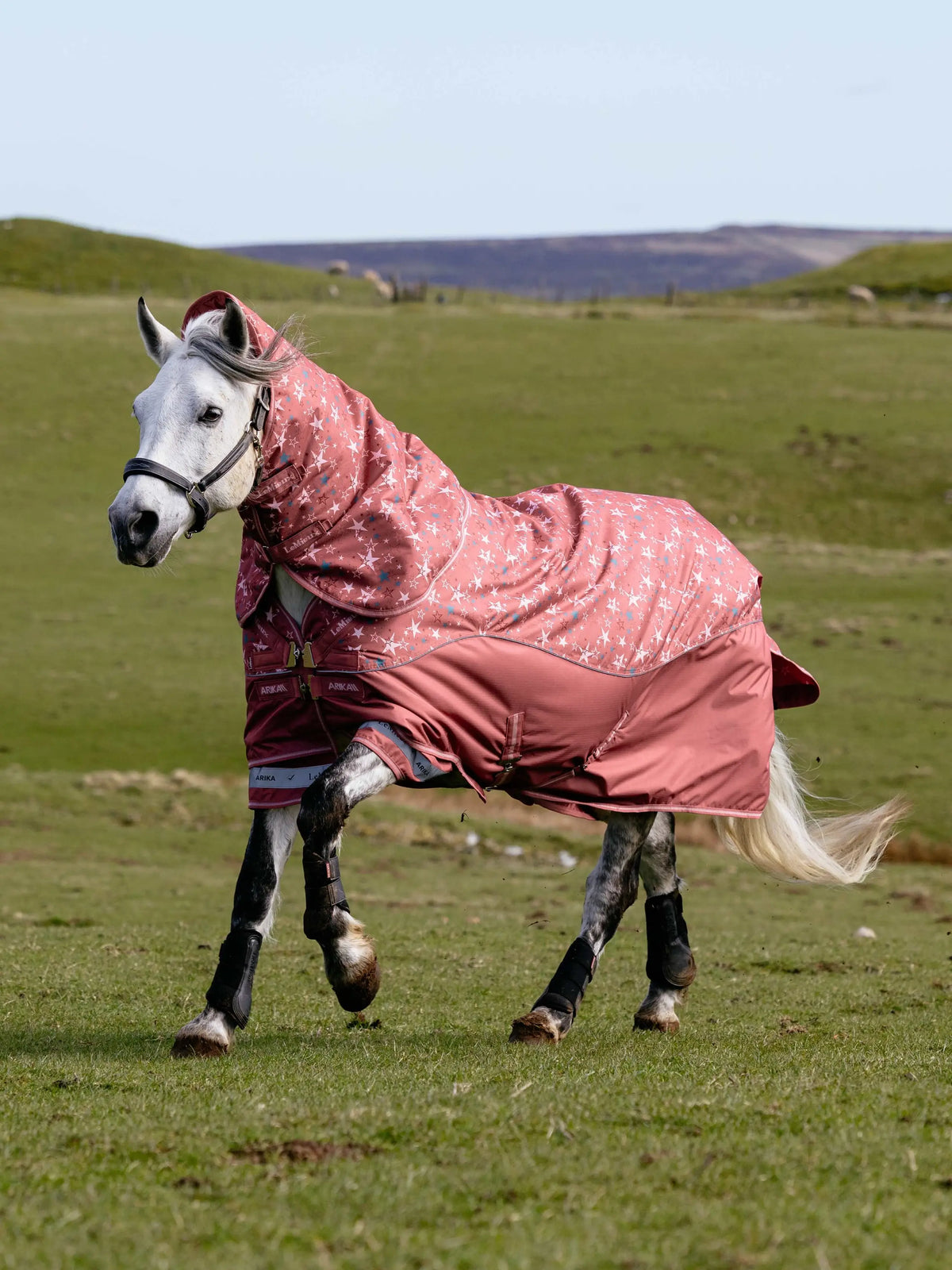LeMieux Arika Star Turnout Rug 100g Spiced Earth