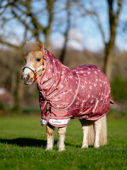 LeMieux AriKA Star Turnout Rug 200g - Spiced Earth, waterproof and breathable horse rug with star print.
