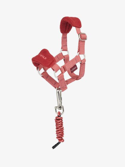 LeMieux Toy Pony Vogue Headcollar & Leadrope Spiced Earth