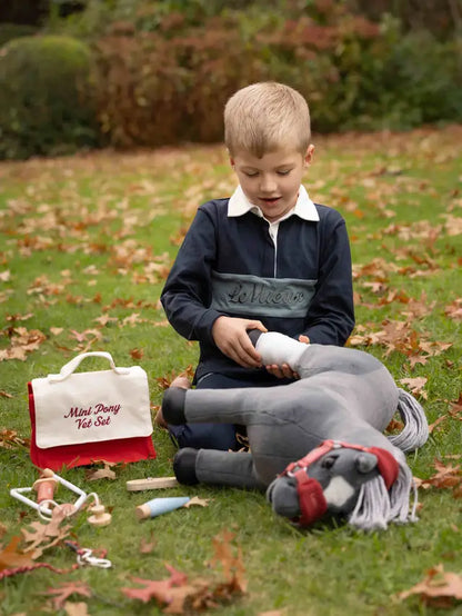 Boy bandaging LeMieux toy pony with vet set in autumn garden