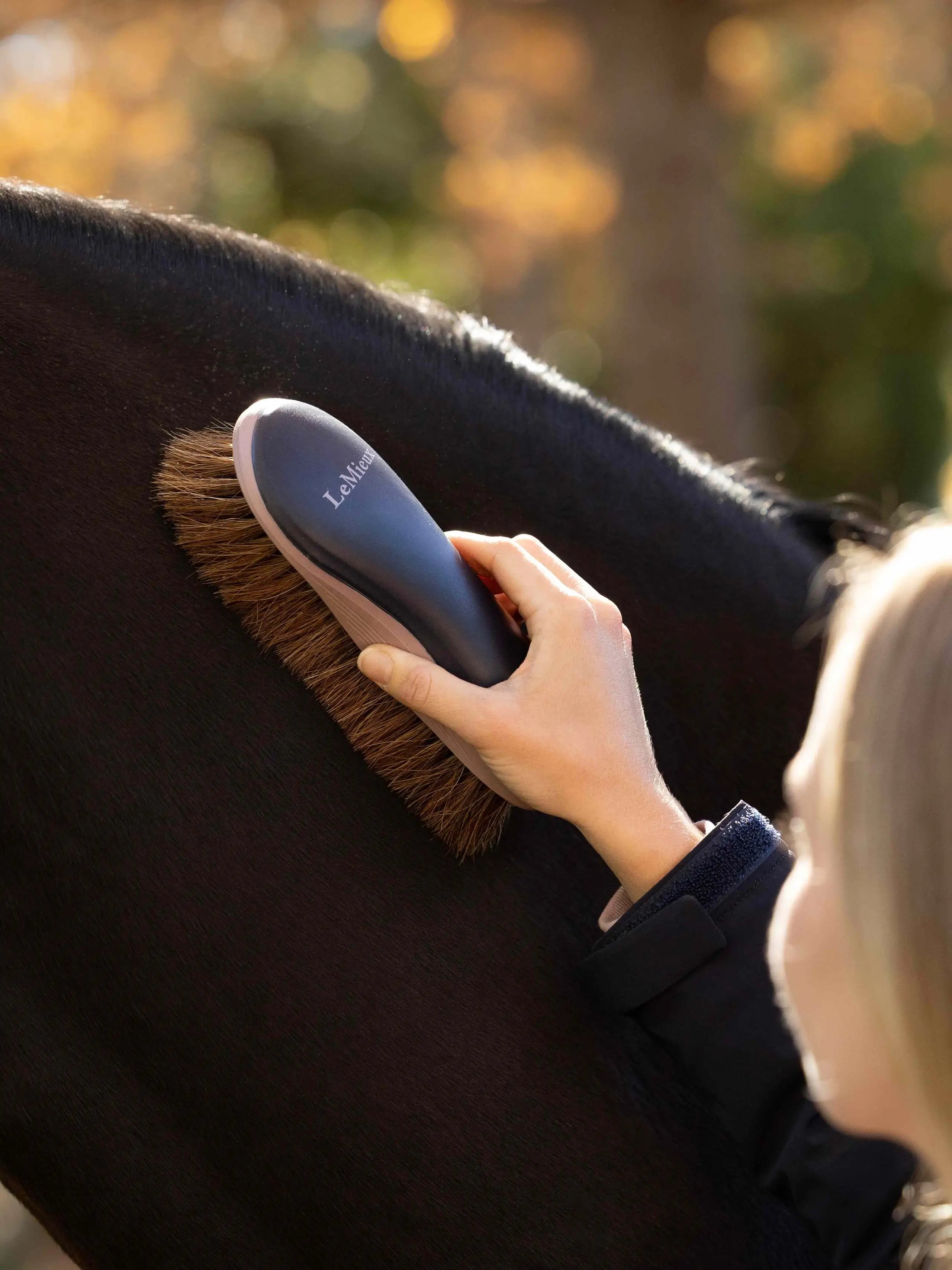 LeMieux Dandy Brush Navy