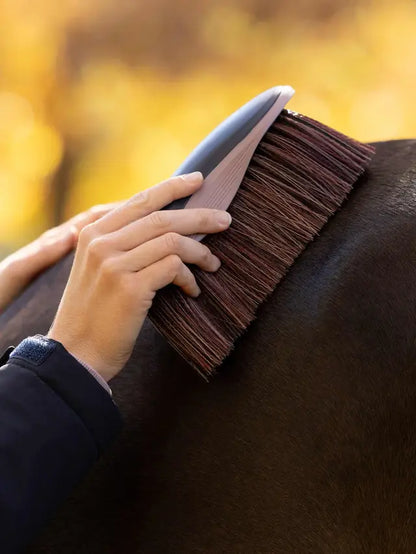 LeMieux Flicky Brush Navy used by a hand to groom a horse's dark coat with a blurred autumn background.