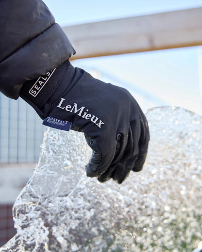 LeMieux Sealskinz Waterproof Glove Black | Equiflair