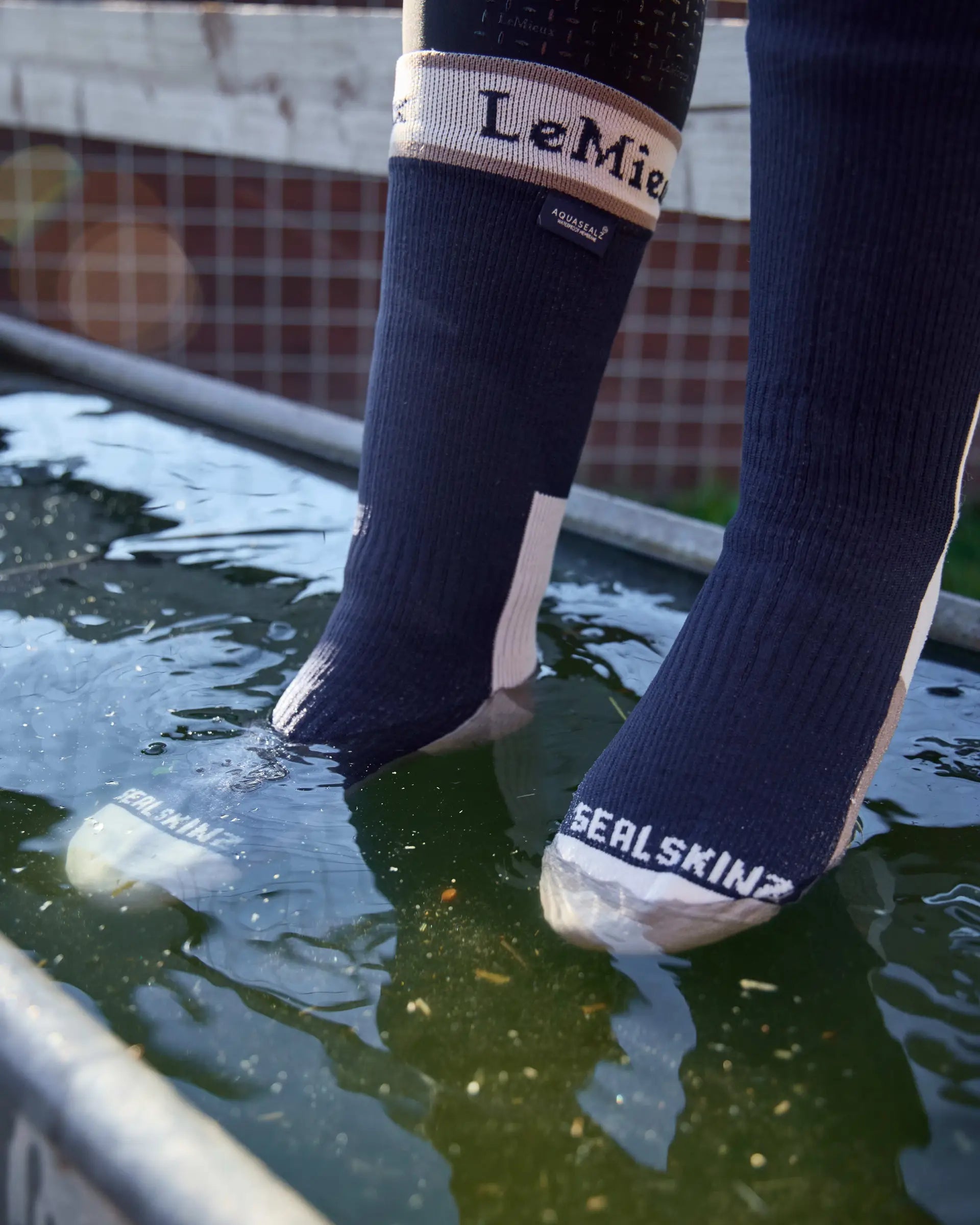 LeMieux Sealskinz Waterproof Socks Navy | Equiflair