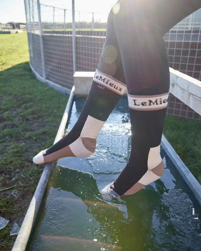 LeMieux Sealskinz Waterproof Socks Black | Equiflair