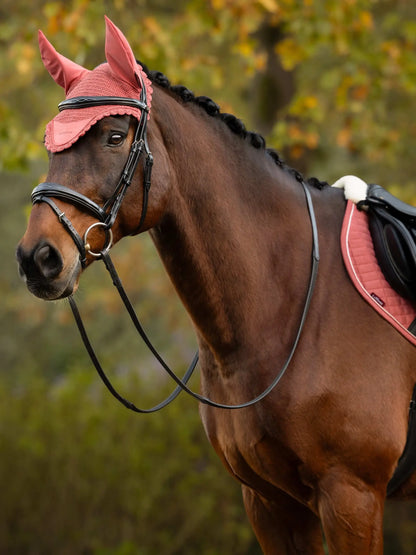 Brown horse wearing LeMieux Classic Fly Hood in Spiced Earth and matching saddle pad.