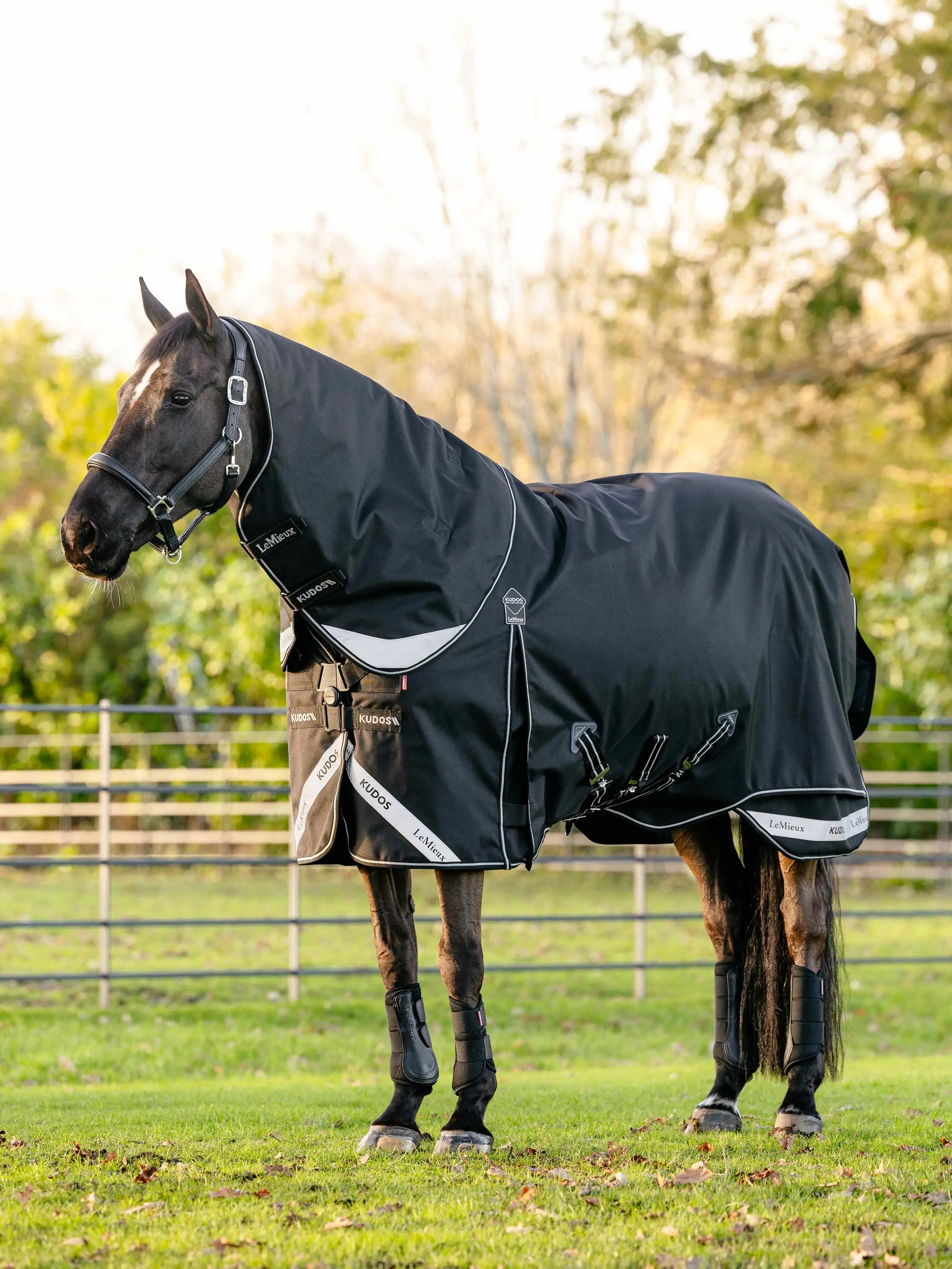 LeMieux Kudos black waterproof turnout horse rug with reflective details