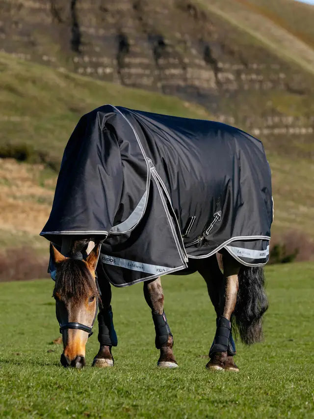Horse wearing a black LeMieux Kudos Neo-Turnout rug, grazing in a field.
