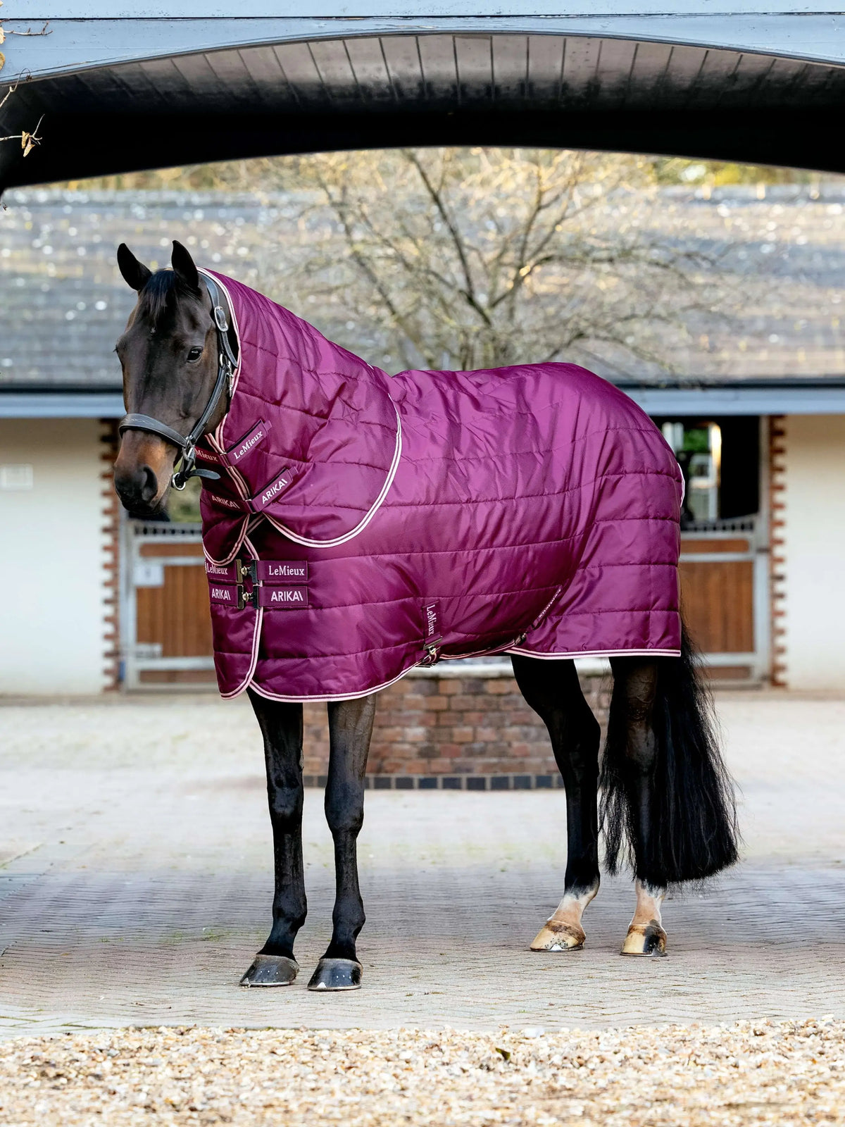 Horse wearing a purple LeMieux Arika 100g stable rug with detachable neck, blackberry color.