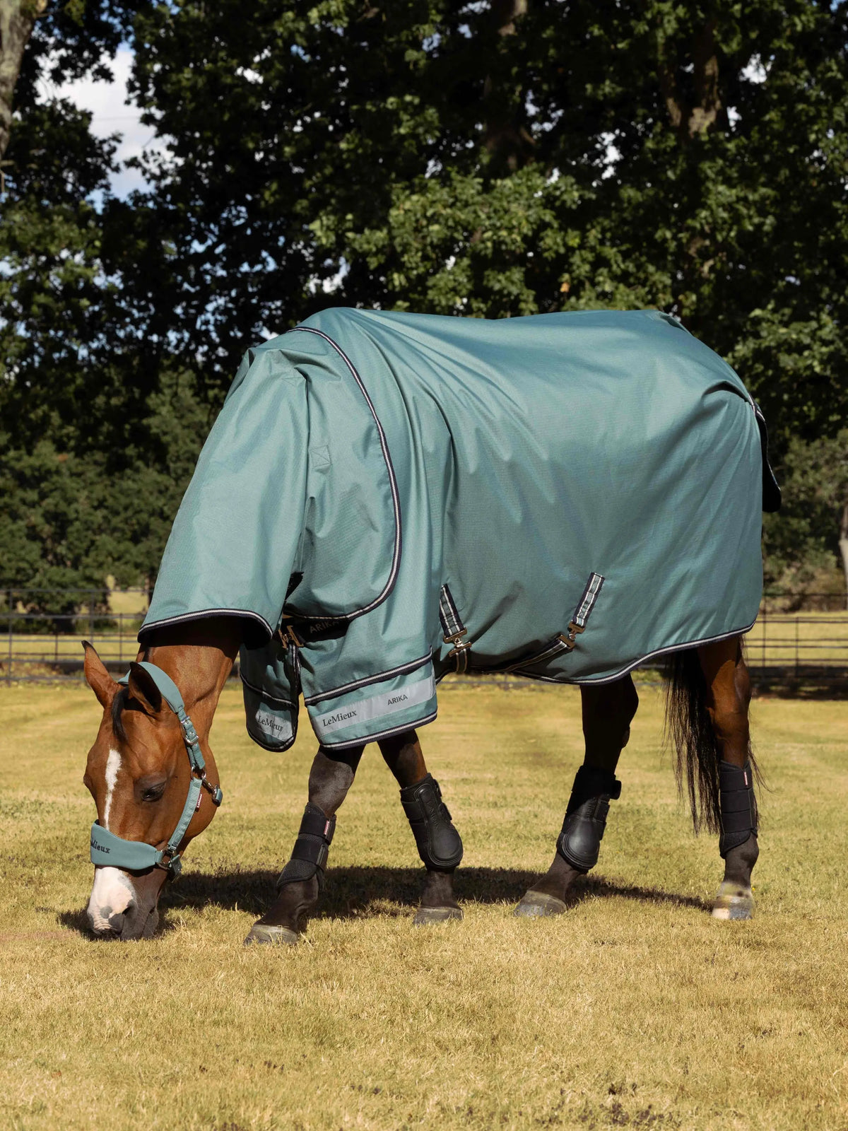LeMieux Arika Ripstop 100g Turnout Rug Aloe