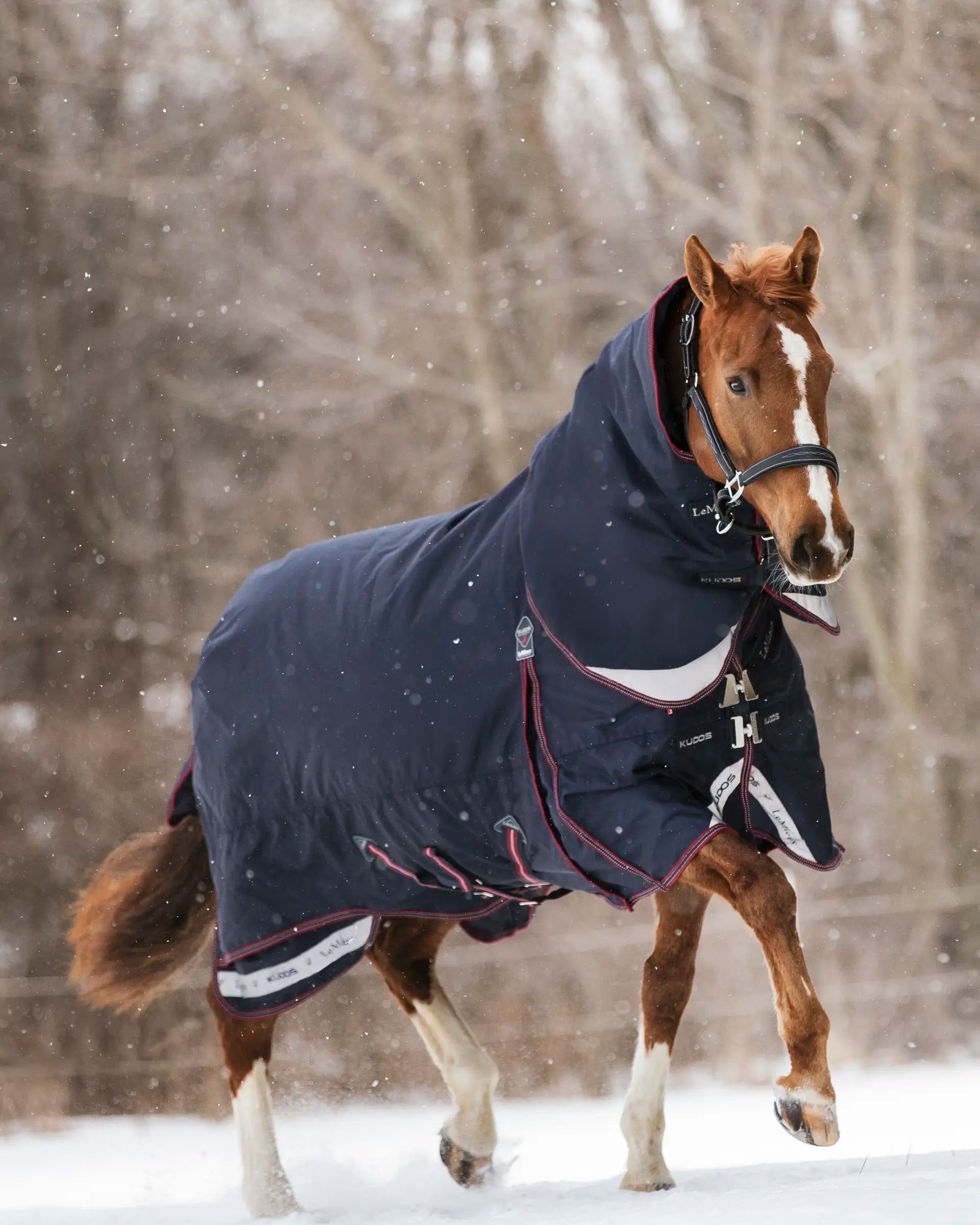 LeMieux Kudos Navy Horse Rug - 350g Winter Turnout Rug in Snow, Equiflair
