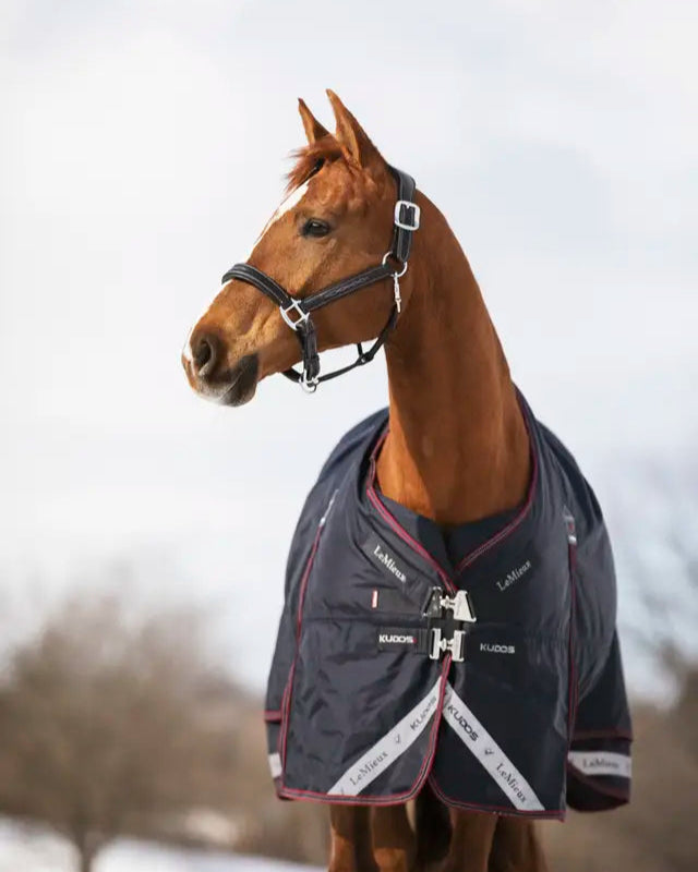 LeMieux Kudos 350g Navy Horse Turnout Rug: Waterproof & Detachable Neck