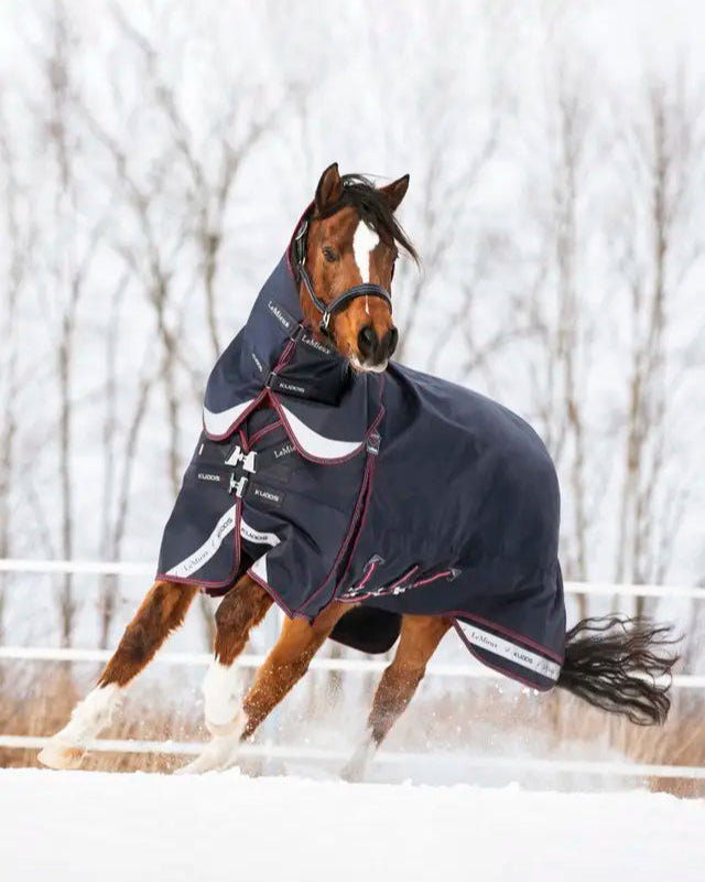 LeMieux Kudos Turnout Rug 200g Navy: Waterproof horse blanket for winter weather. Horse wearing rug in snowy field.