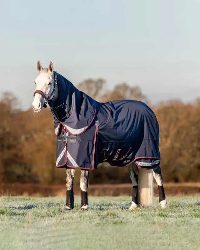 LeMieux Kudos 100g Turnout Rug Navy: Horse blanket, Waterproof, with Detachable Neck Cover - Equiflair