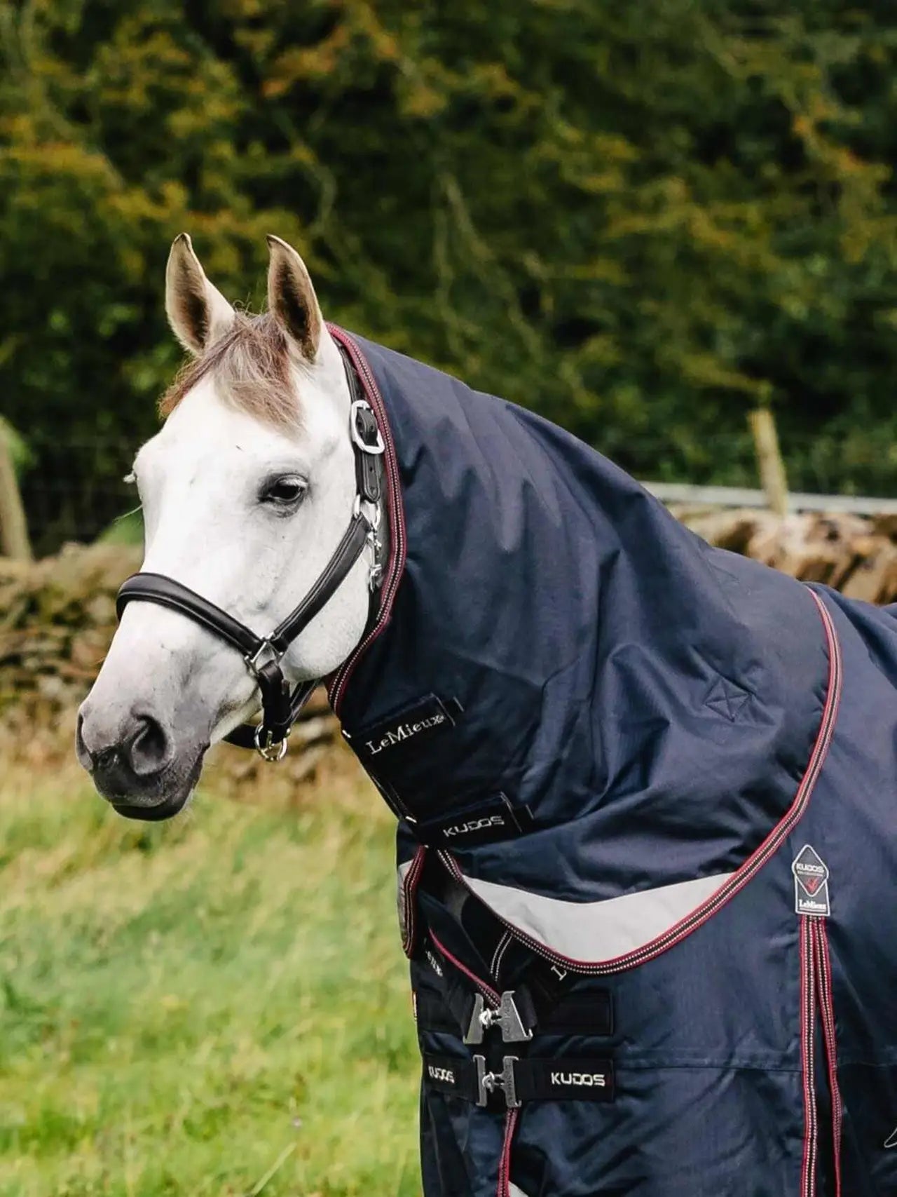LeMieux Kudos Turnout Neck Cover 100g Navy for Horses - Equiflair