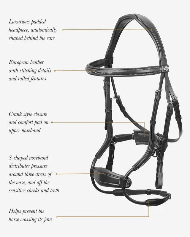 LEMIEUX KUDOS CLEAR ARC Bridle: Black/Silver, Anatomical Horse Bridle, Leather, FEI Compliant. Shop at Equiflair!