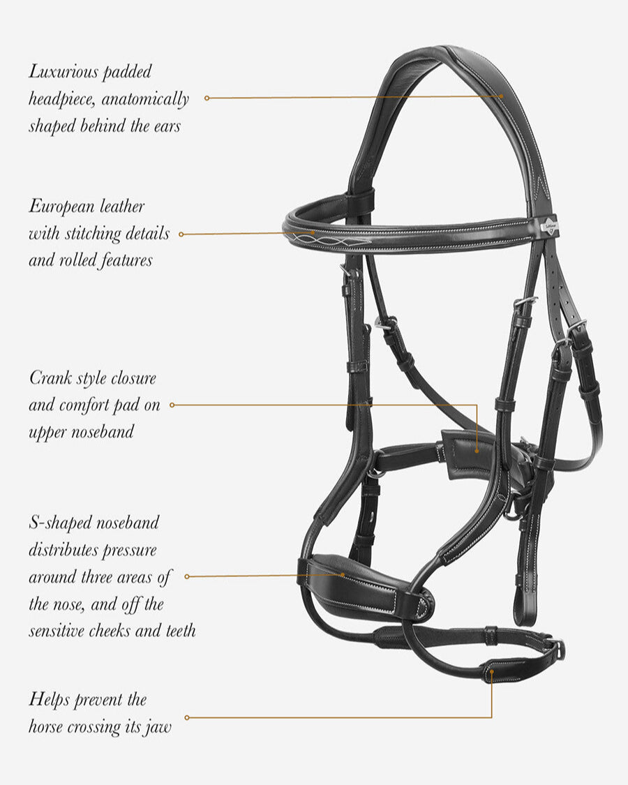Lemieux Kudos Clear Arc Bridle: Black European Leather Horse Bridle for Comfort & Performance | FEI Compliant