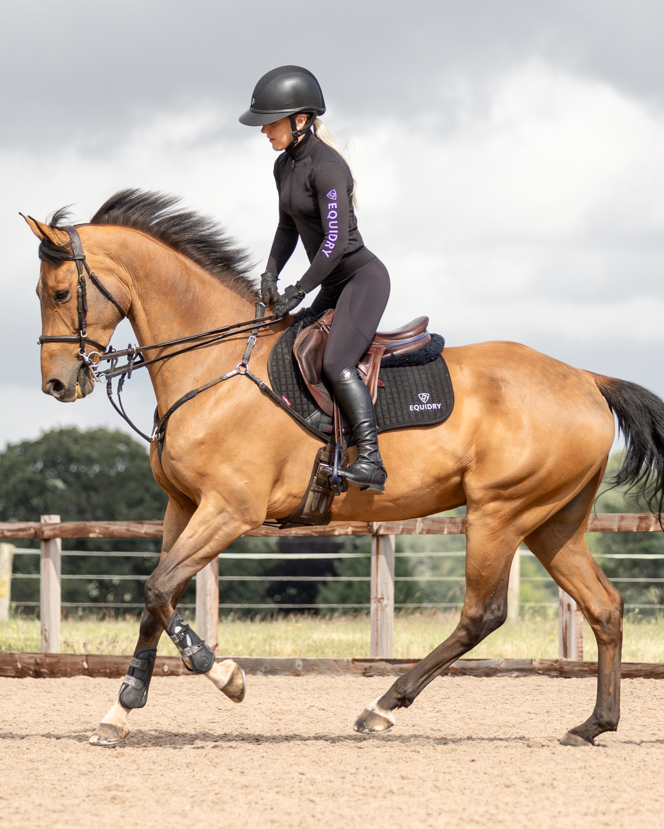 EQUIDRY Water Repellent Leggings Knee Grip Women's Black/Lilac