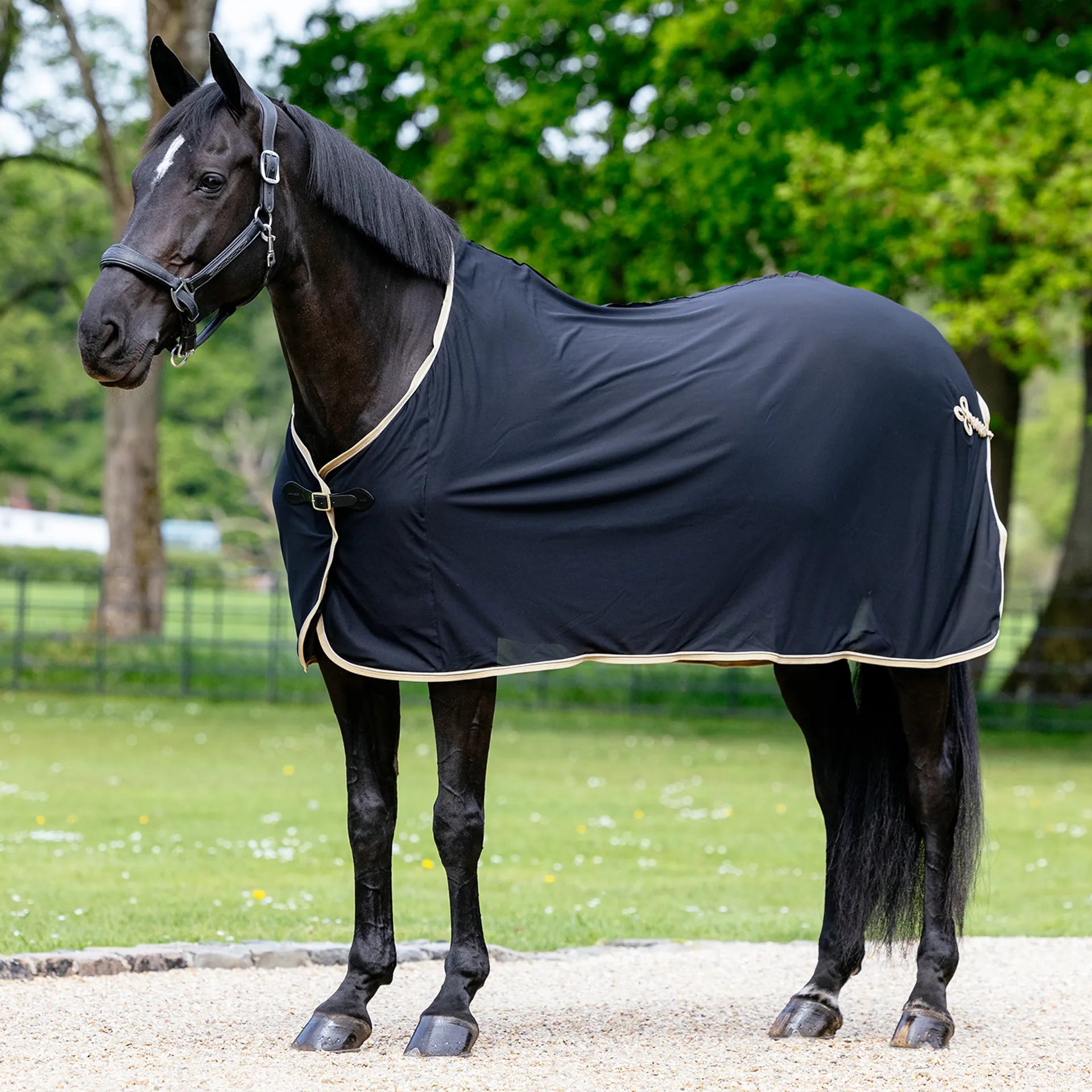 LEMIEUX SCRIM Black Horse Cooler - Lightweight Mesh Dress Cooler from Equiflair for Competitions, Shows & Events