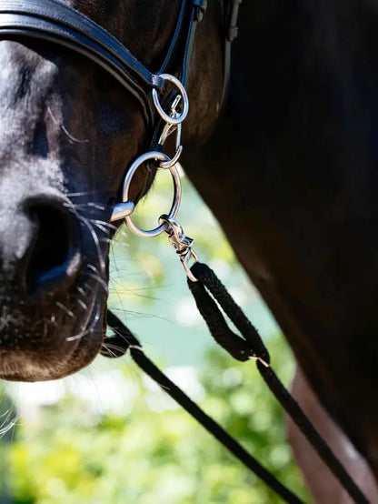 LeMieux Rope Lunging Aid Black for horse training and achieving a lower outline.