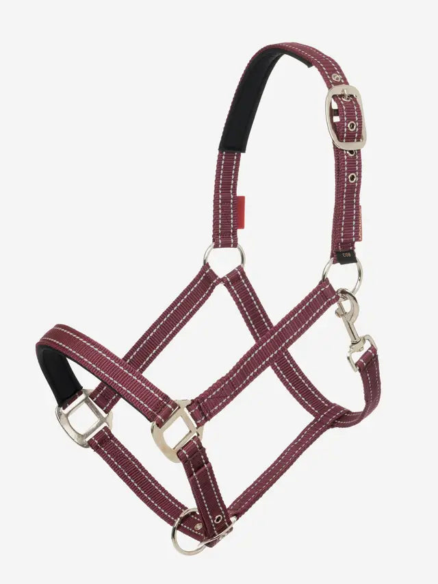 LEMIEUX NEOPRENE YARD HEADCOLLAR BURGUNDY. Burgundy horse headcollar with neoprene padding and reflective stitching.