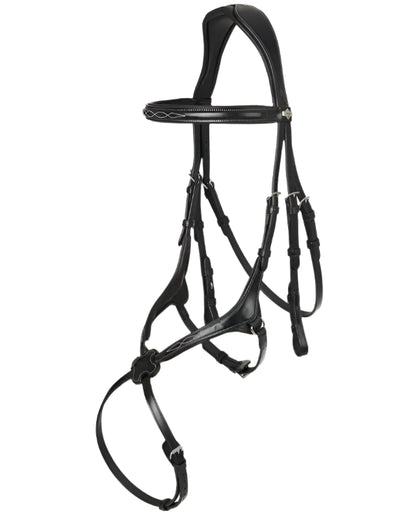 LeMieux Kudos Grackle Bridle - Black Equestrian Horse Bridle