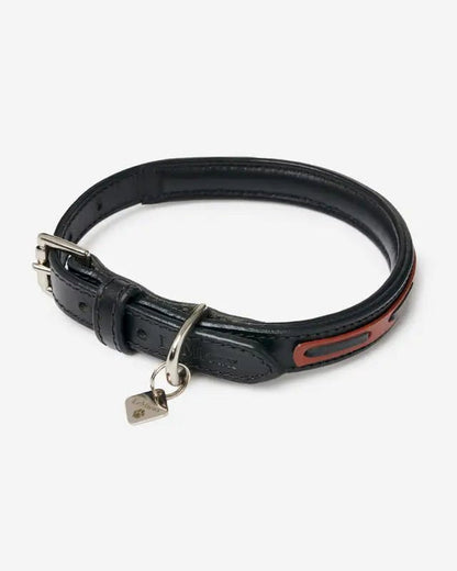 LeMieux Cambridge Dog Collar Black/Tan | Equiflair