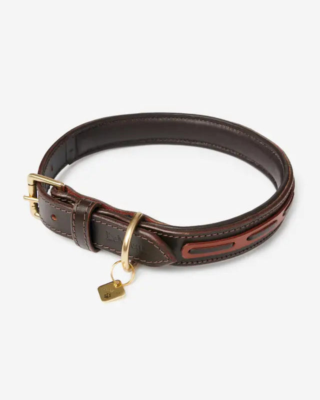 LeMieux Cambridge Dog Collar Mahogany/Tan - Padded Leather Dog Accessory