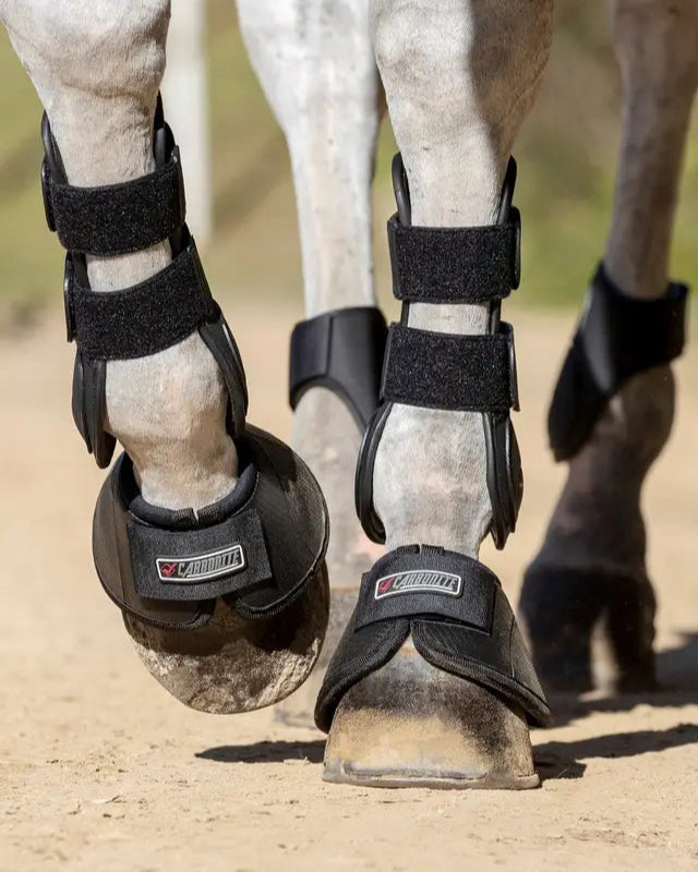 LEMIEUX CARBONITE OVERREACH BOOTS - Horse Hoof Protection | Equiflair Saddlery