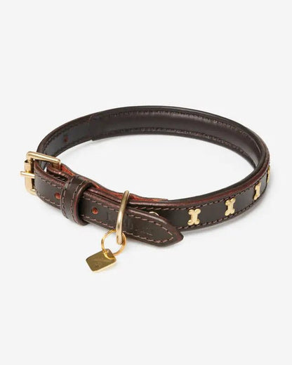 LeMieux Mahogany Leather Dog Collar with Padded Comfort and Bone Design | Equiflair