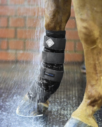LeMieux Cold Water Boots