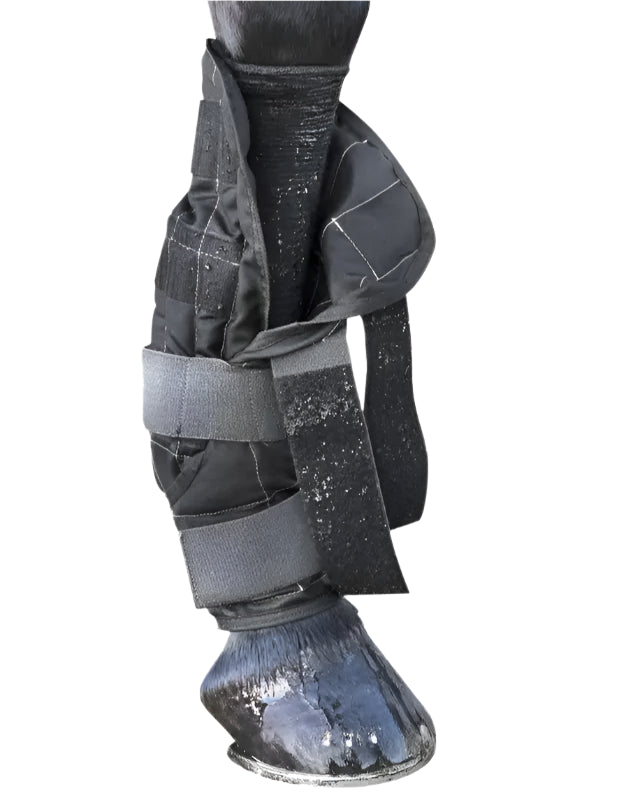 LeMieux Cold Water Boots