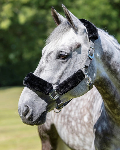 LeMieux Comfort Headcollar Grey