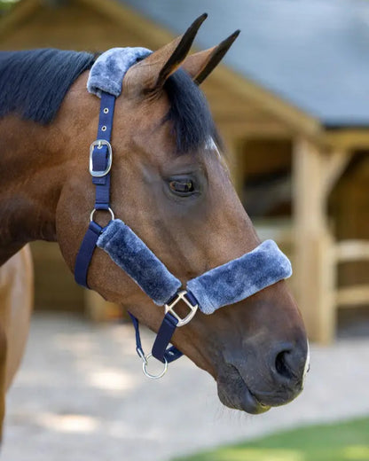 LeMieux Comfort Headcollar Navy