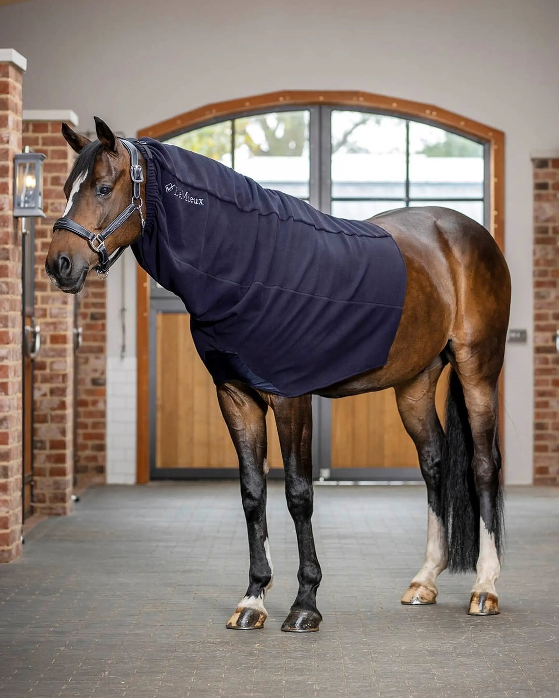LeMieux Arika Fleece Hood Navy