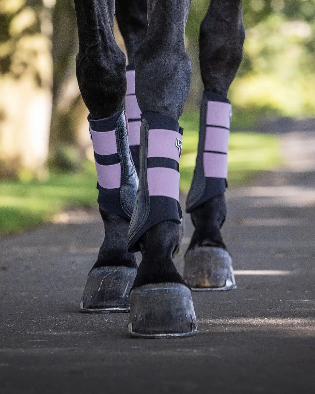 LeMieux Grafter Brushing Boots Musk - Horse Leg Protection for Schooling, Competition & Turnout. Equestrian Equipment by Equiflair