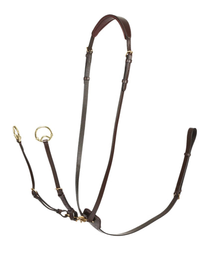 LeMieux Kudos Running Martingale Havana/Brass